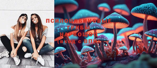 меф Алексин