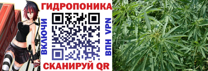Конопля ГИДРОПОН  KRAKEN   Кызыл 
